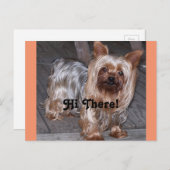 Hallo daar Yorkshire Terrier Briefkaart (Voorkant / Achterkant)