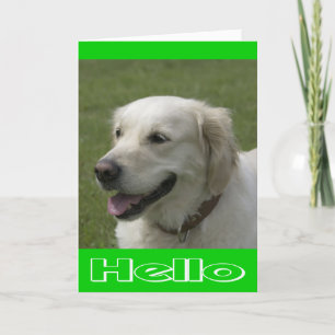 Hallo Denk aan je Golden Retriever Puppy Kaart