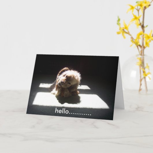 hallo, DENK AAN JULLIE VRIENDEN OF GEZIN Kaart (Gele Bloem)