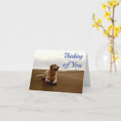 Hallo Denken aan je Golden Retriever puppy hond Kaart (Gele Bloem)