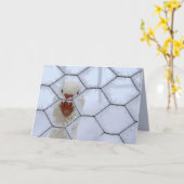 hallo! Duck achter gevroren hek seculiere kerst Kaart (Gele Bloem)