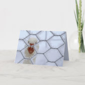 hallo! Duck achter gevroren hek seculiere kerst Kaart (Voorkant)