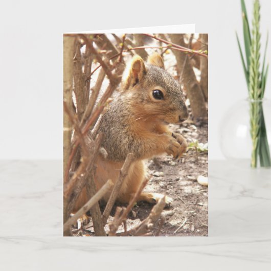 Hallo Een beetje Kaart (Voorkant)