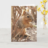 Hallo Een beetje Kaart (Gele Bloem)