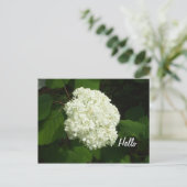 hallo-Een Big Snowball Hydrangeas Flower Briefkaart (Staand voorkant)