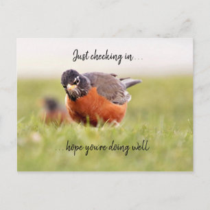 hallo—enkel het controleren in Briefkaart