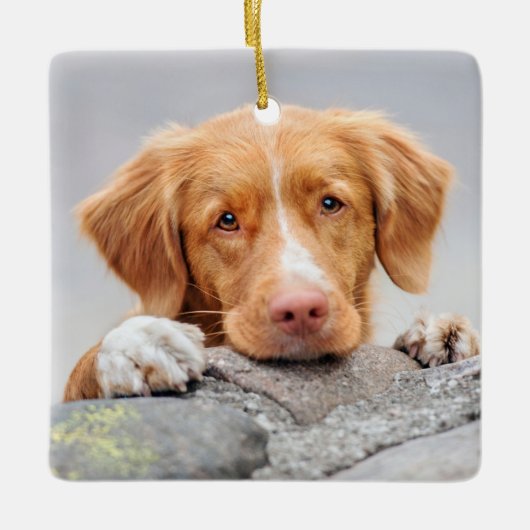 Hallo Favoriet Keramisch Ornament (Voorkant)