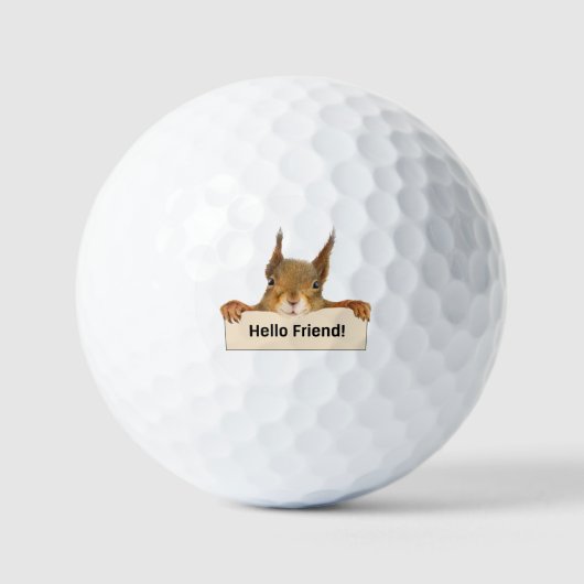 hallo Friend Funny Squirrel Golfballen (Voorkant)