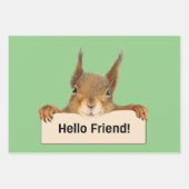 hallo Friend Funny Squirrel Inpakpapier Vel (Voorkant 3)