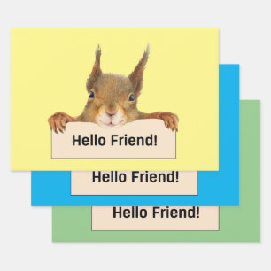 hallo Friend Funny Squirrel Inpakpapier Vel