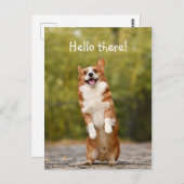 hallo. / Funny Corgi Briefkaart (Voorkant / Achterkant)