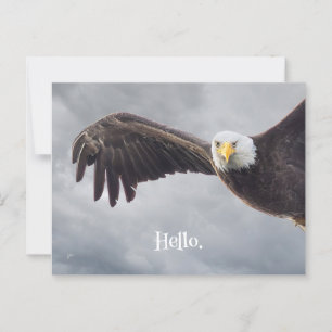 Hallo Funny Eagle Briefkaart