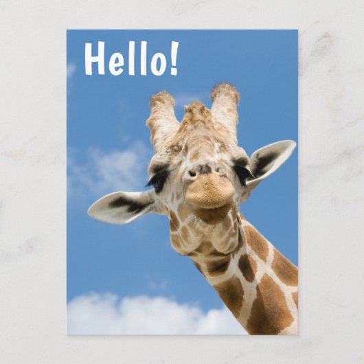 Hallo €? | Funny Giraffe Animal Briefkaart (Voorkant)