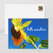 Hallo Geel Zonnebloem Foto Briefkaart (Voorkant / Achterkant)
