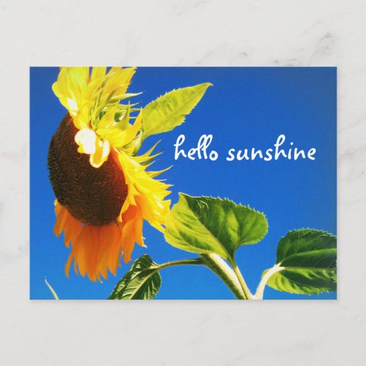 Hallo Geel Zonnebloem Foto Briefkaart (Voorkant)