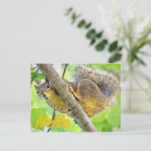 hallo gewoon in Briefkaart controleren (Staand voorkant)