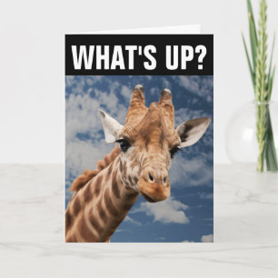 HALLO GIRAFFE WENSKAART, WAT IS ER? KAART