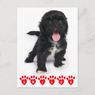 hallo glimlachen schitteren Tzu Black en White Pup Briefkaart