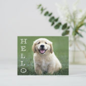 Hallo Golden Retriever Puppy Dog Blank Briefkaart (Staand voorkant)