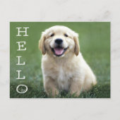 Hallo Golden Retriever Puppy Dog Blank Briefkaart (Voorkant)