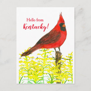 Hallo Goldenrod Kardinaal Briefkaart