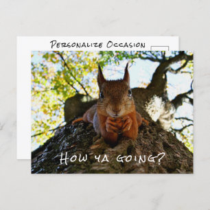 Hallo Grappig Eekhoorn Leuk Dier Briefkaart