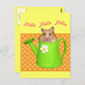 hallo hallo hamster briefkaart (Voorkant / Achterkant)
