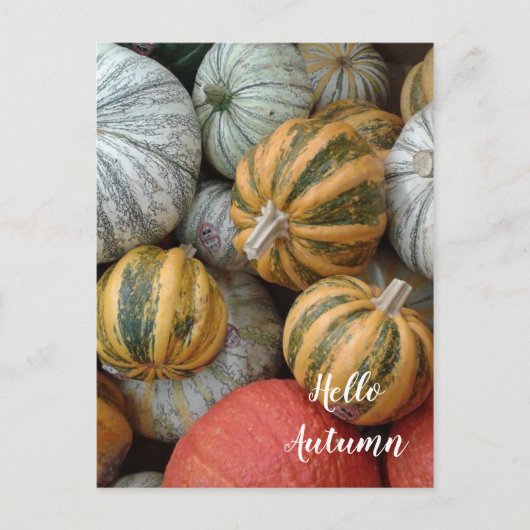 hallo herfst - Gourds Briefkaart (Voorkant)