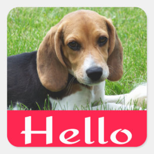 hallo/Hi Beagle Puppy Dog Red Greeting Sticker