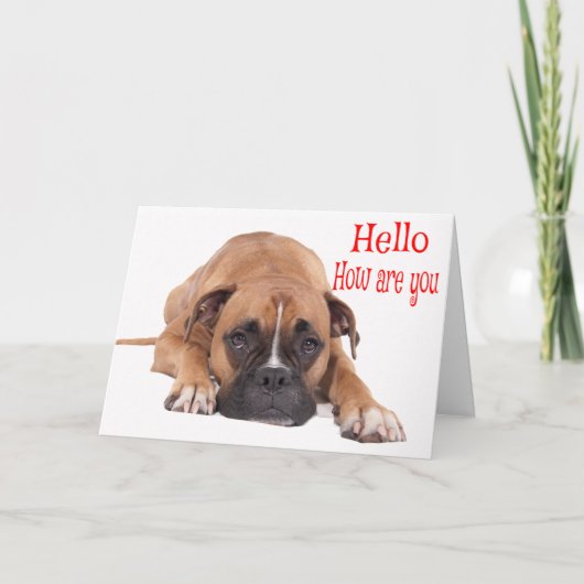 Hallo / Hi Boxer Puppy - Bruine & Witte Hond Kaart (Voorkant)