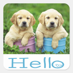 Hallo Hi Labrador Retriever Puppy Dog Stickers
