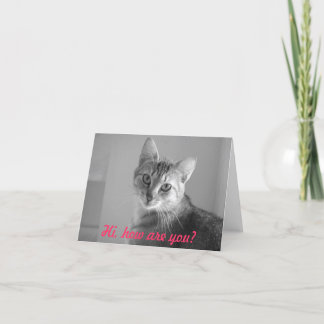 Hallo hoe u bent? De kaart van de nota
