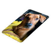 hallo iedereen magneet (Linkerzijde)