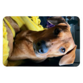 hallo iedereen magneet (Horizontaal)