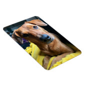 hallo iedereen magneet (Rechterzijde)