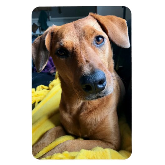 hallo iedereen magneet (Verticaal)