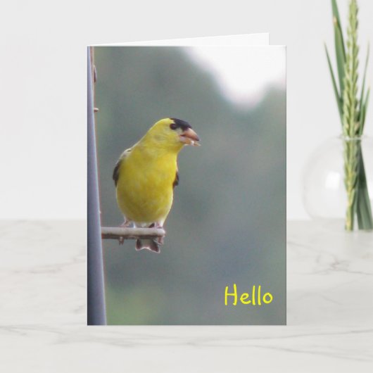 hallo kaart (Voorkant)