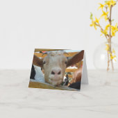 Hallo Kaart (Gele Bloem)