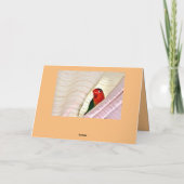 hallo! kaart (Achterkant)