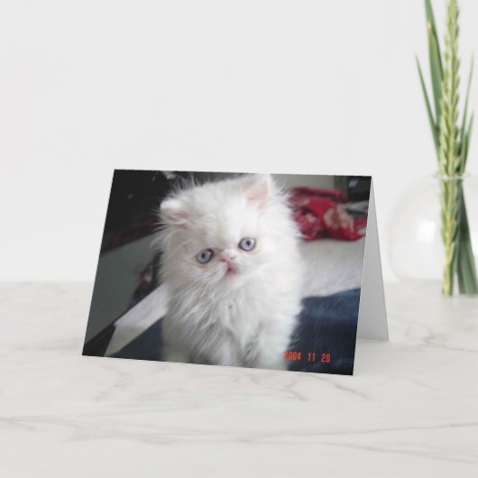 hallo KAT! Kaart (Voorkant)