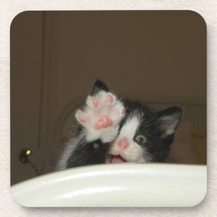 "Hallo Kitten!" onderzetters