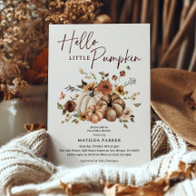 Hallo Kleine Pompoen Herfst Baby Shower