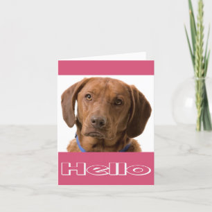 hallo Labrador Retriever Puppy Dog Note Card Kaart