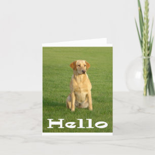 hallo Labrador Retriever Puppy Dogs Note Card Kaart