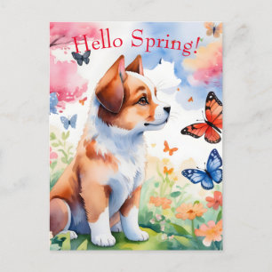 hallo lente briefkaart