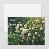 Hallo Lente Meibloemen Briefkaart (Voorkant / Achterkant)