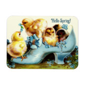 hallo Lente.  paasmakersnetten Magneet (Horizontaal)