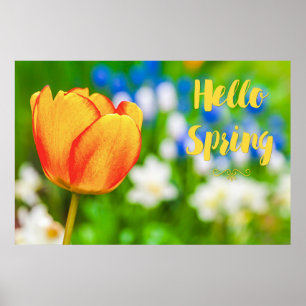 hallo Lente! Poster