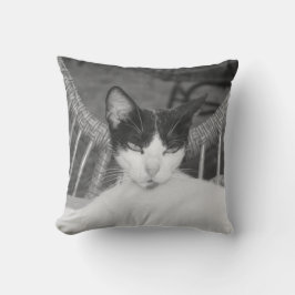 Hallo Meow... Kussen