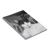 Hallo Meow... Notitieboek (Rechterzijde)